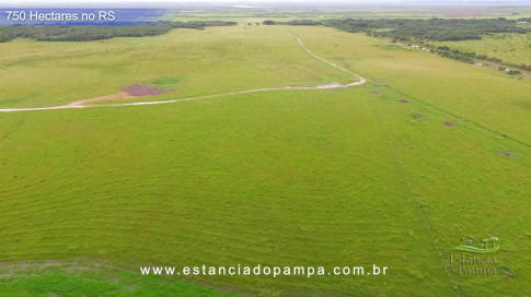 Os Tiranos - Bailando o chamamé [VDownloader].00_03_50_06.Quadro026_de150d453783c6c51800fc40b1830a19d757def5.jpg